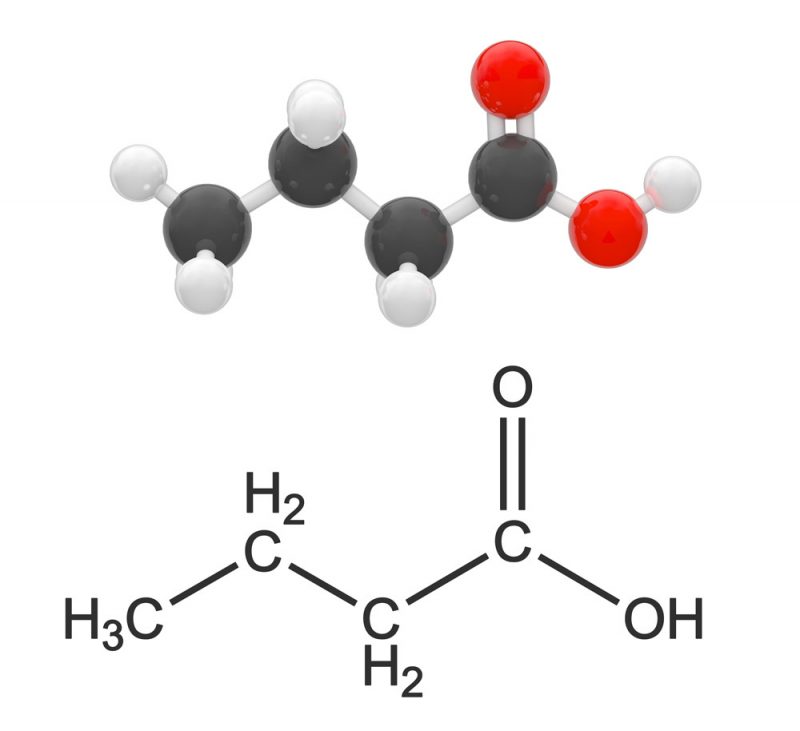 Fatty Acid Supplements Side Image